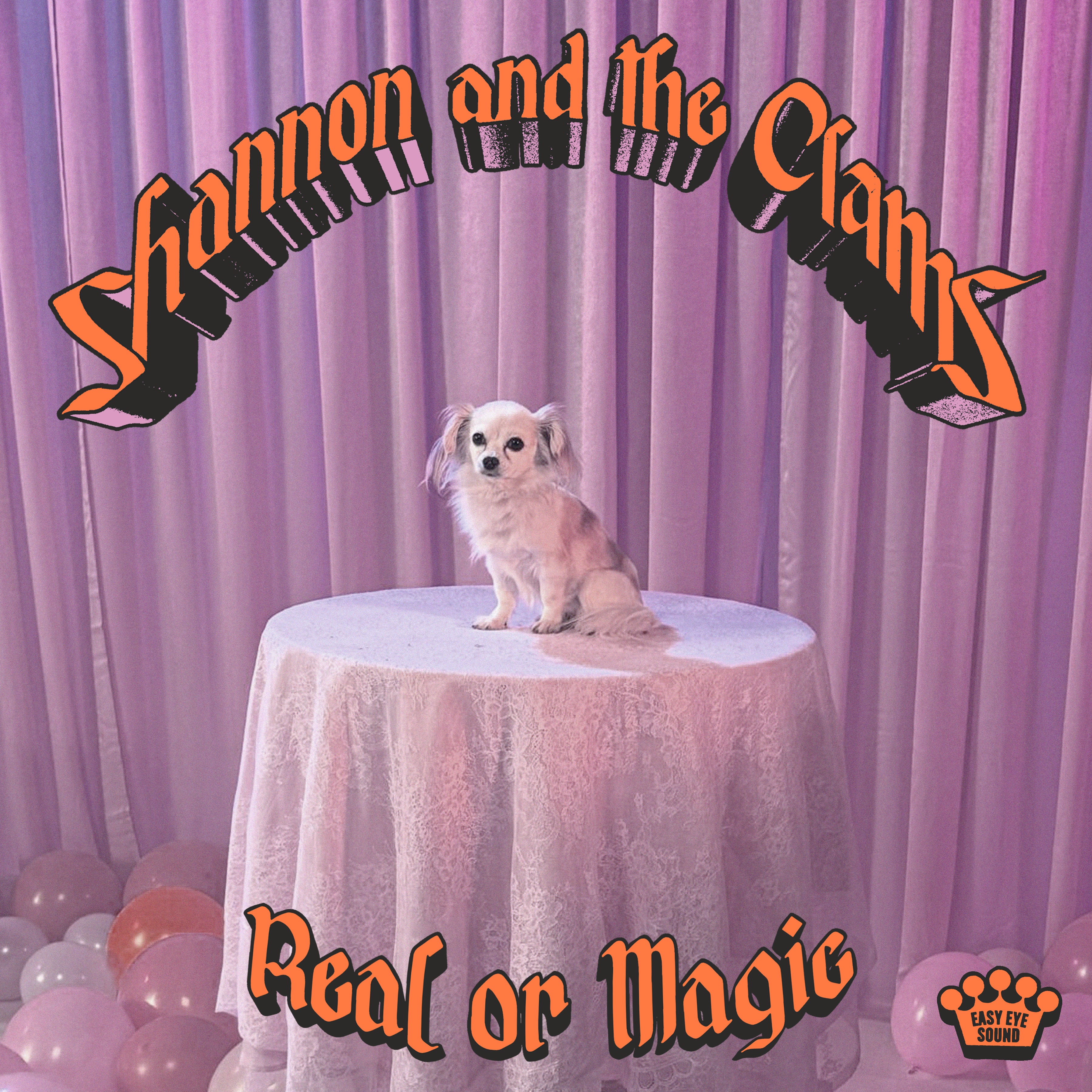 "Real Or Magic" by Shannon & The Clams is streaming everywhere now!