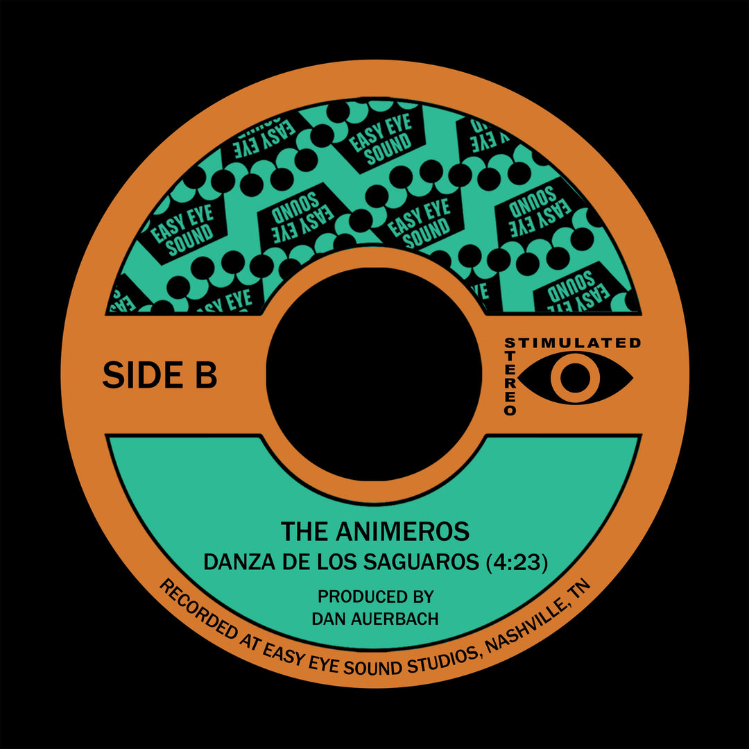 Listen to "Danza de Los Saguaros" by The Animeros